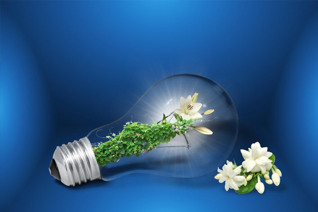 save energy, energy saving, sustainability, flower wallpaper, electricity, the light bulb, beautiful flowers, environment, nature, environmentally friendly, flower background, sustainable energy, green electricity, renewable energy, lightbulb, ivy, tendrils, flower, rethinking, renewable, sustainable